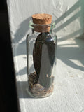 Glass curio jars for your altar- dried flower or butterfly wing