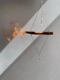 Cinnamon suncatcher