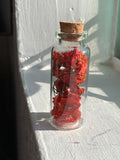 Glass curio jars for your altar- dried flower or butterfly wing