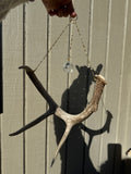 Antler Suncatcher