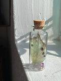 Glass curio jars for your altar- dried flower or butterfly wing