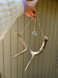 Antler Suncatcher