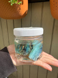 139g Peruvian Blue Opal rough - Andean Blue Opal - Andean Opal - gem silica opal - water opal raw- natural blue opal- jar included