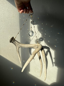 Antler Suncatcher