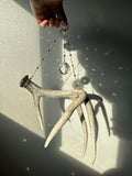 Antler Suncatcher