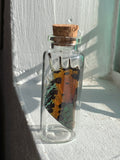 Glass curio jars for your altar- dried flower or butterfly wing