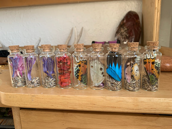 Glass curio jars for your altar- dried flower or butterfly wing