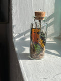 Glass curio jars for your altar- dried flower or butterfly wing