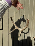 Antler Suncatcher