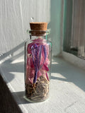 Glass curio jars for your altar- dried flower or butterfly wing
