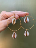 Caribbean Shell Earrings