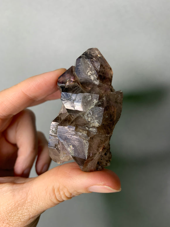 Shangaang Smoky Phantom Amethyst Scepter Zimbabwe