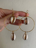 Caribbean Shell Earrings