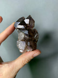 Shangaang Smoky Phantom Amethyst Scepter Zimbabwe
