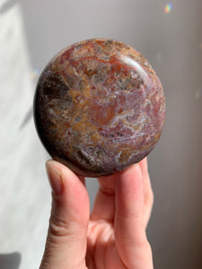 Petrified Wood Palmstone