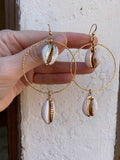 Caribbean Shell Earrings