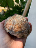 Large Aura Geode