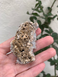 Druzy Aura Chalcedony Rosette