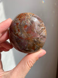 Petrified Wood Palmstone