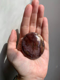 Petrified Wood Palmstone