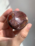 Petrified Wood Palmstone