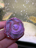 Rare red/ purple Druzy Aura Chalcedony Rosette