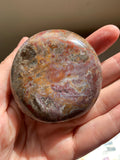 Petrified Wood Palmstone