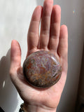 Petrified Wood Palmstone