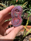 Aura Chalcedony -double rosette - rare purple/red
