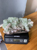 Green Apophyllite Cluster