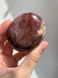 Petrified Wood Palmstone